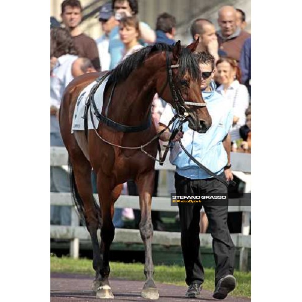 Lady Alida and her groom parading in the paddock before winning the Premio Mario Incisa della Rocchetta Milano, 20th june 2009 ph. Stefano Grasso