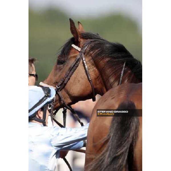 Karoly Kerekes prepares to mount on Lady Alida before winning the Premio Mario Incisa della Rocchetta Milano, 20th june 2009 ph. Stefano Grasso