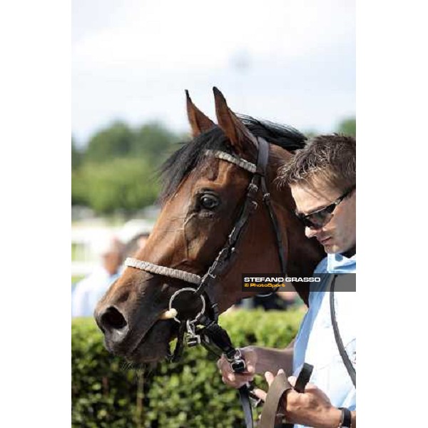 a close up for Lady Alida winner of Premio Mario Incisa della Rocchetta Milano, 20th june 2009 ph. Stefano Grasso