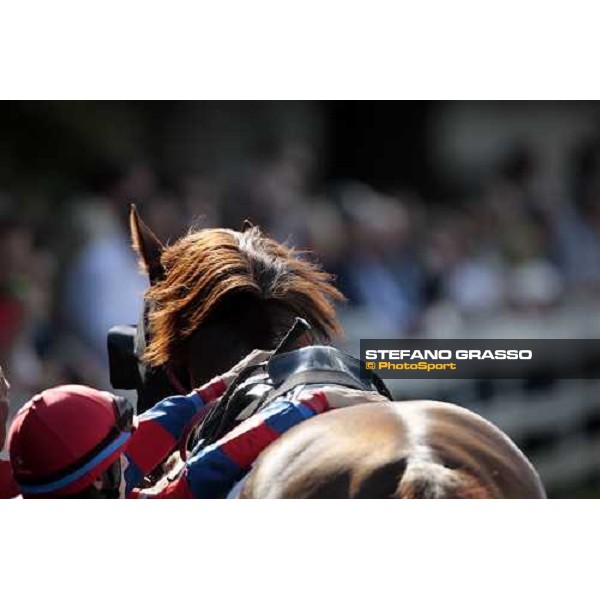 a jpckey with his horse pictured at San Siro Milano, 20th june 2009 ph. Stefano Grasso