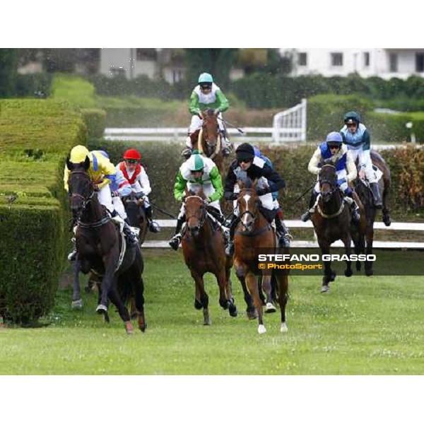 Terracon leads on Nikoden, Sharstar, Trewir and Gont during the 1¡ Grande Steeple-Chase d\' Europa Merano, 21st june 2009 ph. Stefano Grasso