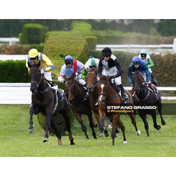 Terracon leads on Nikoden, Sharstar, Trewir and Gont during the 1¡ Grande Steeple-Chase d\' Europa Merano, 21st june 2009 ph. Stefano Grasso