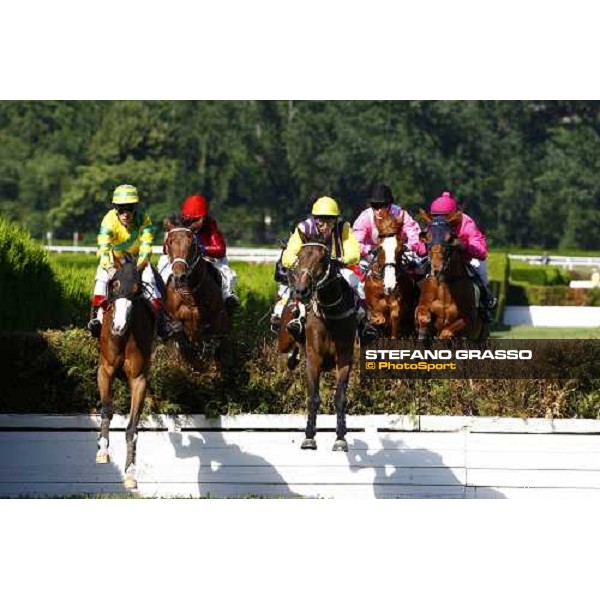 jumping a fence at Merano Maia Merano, 21st june 2009 ph. Stefano Grasso