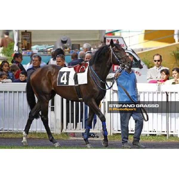 Frammassone parades before winning the Criterium di Primavera Merano, 21st june 2009 ph. Stefano Grasso