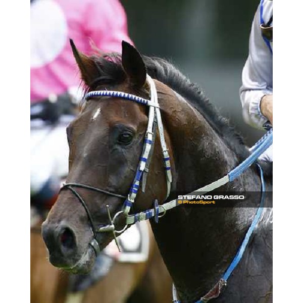close up for Frammassone after winning the Criterium di Primavera Merano, 21st june 2009 ph. Stefano Grasso