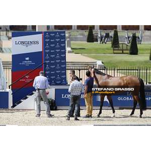 LGCT of London - Vet check - - London, Royal Hospital Chelsea - 1 August 2019 - ph.Stefano Grasso/LGCT