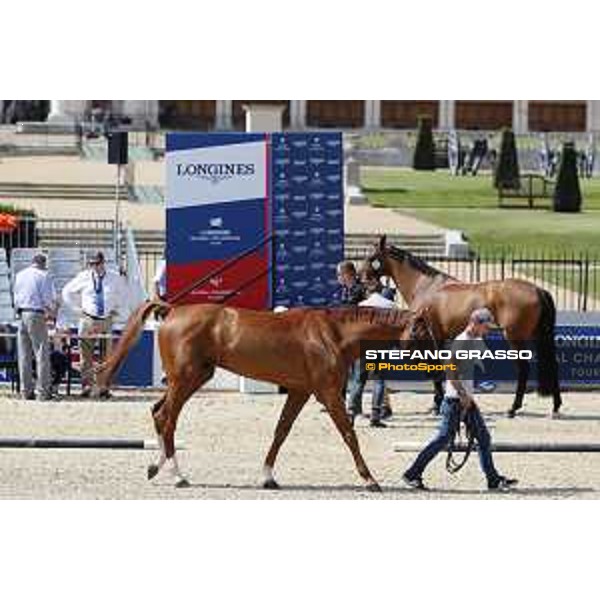 LGCT of London - Vet check - - London, Royal Hospital Chelsea - 1 August 2019 - ph.Stefano Grasso/LGCT
