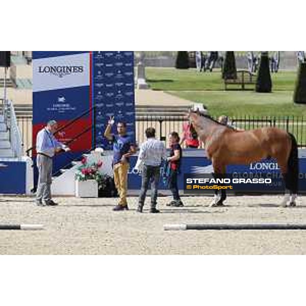 LGCT of London - Vet check - - London, Royal Hospital Chelsea - 1 August 2019 - ph.Stefano Grasso/LGCT