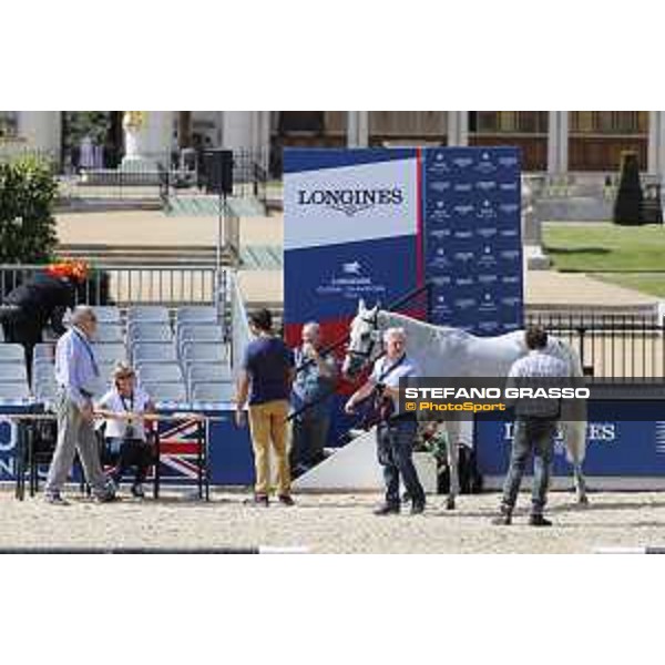 LGCT of London - Vet check - - London, Royal Hospital Chelsea - 1 August 2019 - ph.Stefano Grasso/LGCT