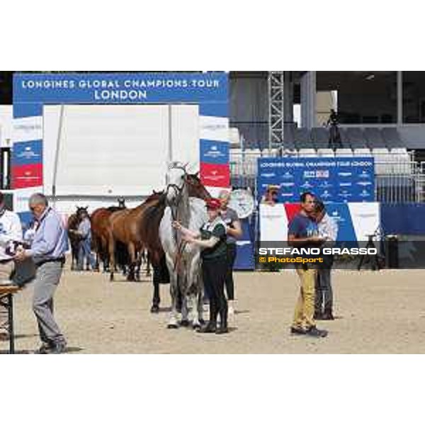 LGCT of London - Vet check - - London, Royal Hospital Chelsea - 1 August 2019 - ph.Stefano Grasso/LGCT