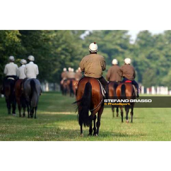 Luca Cumani\'s team at The Rowley Mile Newmarket 8th july 2004 ph. Stefano Grasso