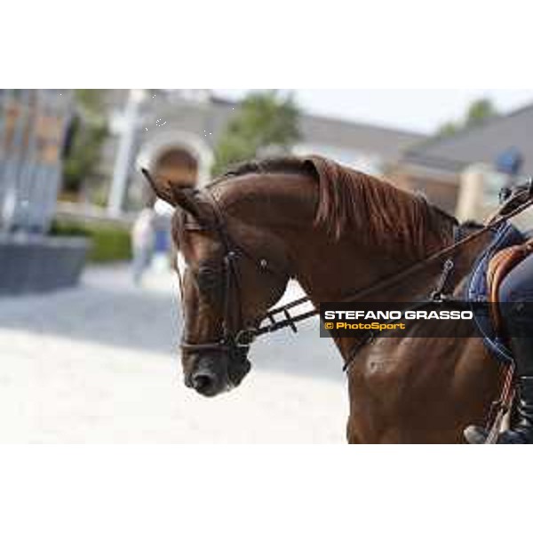 LGCT of Valkenswaard - Behind the scenes - Don VHP Z - Valkenswaard , Tops International Arena - 8 August 2019 - ph.Stefano Grasso/LGCT