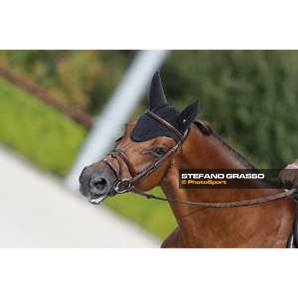 LGCT of Valkenswaard - Behind the scenes - Wunschkind - Valkenswaard , Tops International Arena - 8 August 2019 - ph.Stefano Grasso/LGCT