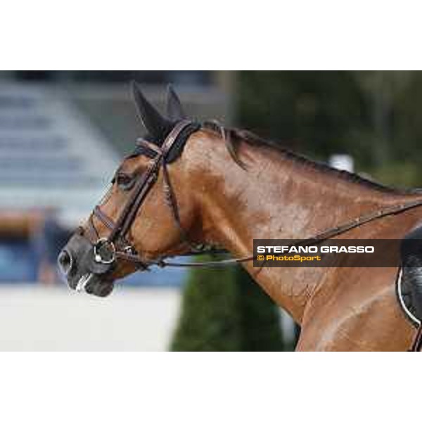 LGCT of Valkenswaard - Behind the scenes - Wunschkind - Valkenswaard , Tops International Arena - 8 August 2019 - ph.Stefano Grasso/LGCT