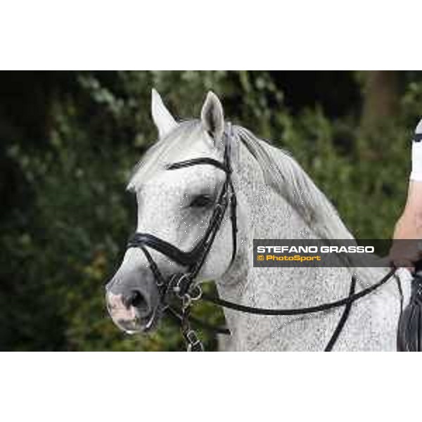LGCT of Valkenswaard - Behind the scenes - Cornado NRW - Valkenswaard , Tops International Arena - 8 August 2019 - ph.Stefano Grasso/LGCT
