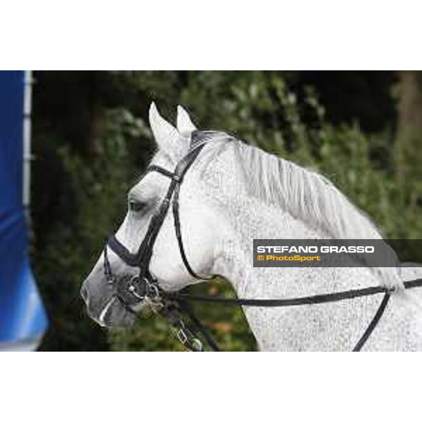 LGCT of Valkenswaard - Behind the scenes - Cornado NRW - Valkenswaard , Tops International Arena - 8 August 2019 - ph.Stefano Grasso/LGCT