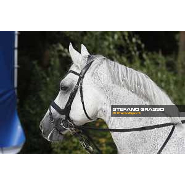 LGCT of Valkenswaard - Behind the scenes - Cornado NRW - Valkenswaard , Tops International Arena - 8 August 2019 - ph.Stefano Grasso/LGCT