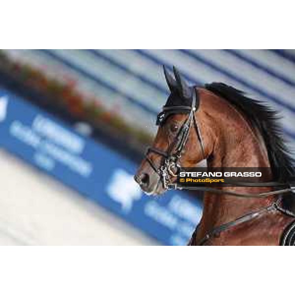 LGCT of Valkenswaard - Behind the scenes - A La Carte NRW - Valkenswaard , Tops International Arena - 8 August 2019 - ph.Stefano Grasso/LGCT