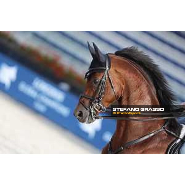 LGCT of Valkenswaard - Behind the scenes - A La Carte NRW - Valkenswaard , Tops International Arena - 8 August 2019 - ph.Stefano Grasso/LGCT
