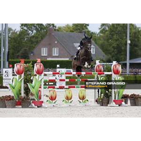 LGCT of Valkenswaard - Margie Goldstein Engle (USA) on Dicas - Valkenswaard , Tops International Arena - 11 August 2019 - ph.Stefano Grasso/LGCT