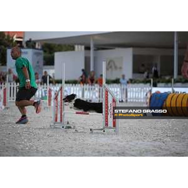 LGCT of Rome - Agility Dog Show - Rome, Stadio dei Marmi - 8 September 2019 - ph.Stefano Grasso/LGCT
