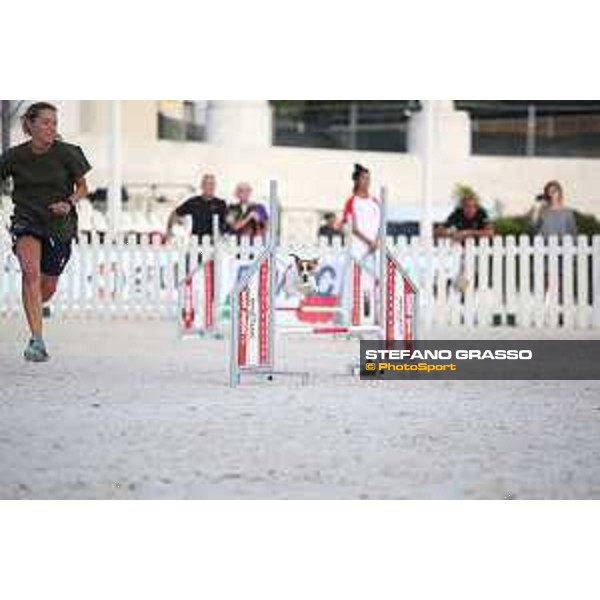 LGCT of Rome - Agility Dog Show - Rome, Stadio dei Marmi - 8 September 2019 - ph.Stefano Grasso/LGCT
