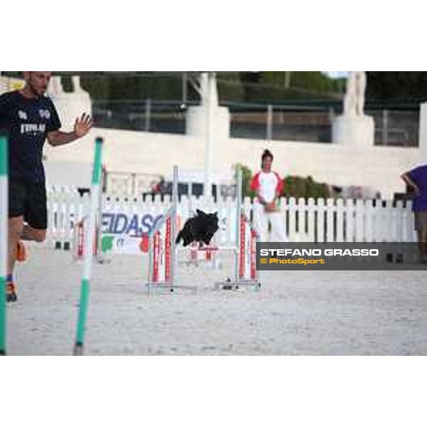 LGCT of Rome - Agility Dog Show - Rome, Stadio dei Marmi - 8 September 2019 - ph.Stefano Grasso/LGCT