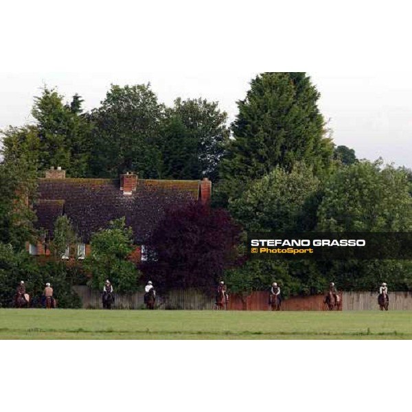 Newmarket thursday morning Newmarket 8th july 2004 ph. Stefano Grasso