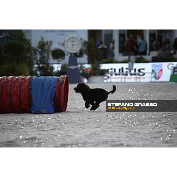 LGCT of Rome - Agility Dog Show - Rome, Stadio dei Marmi - 8 September 2019 - ph.Stefano Grasso/LGCT