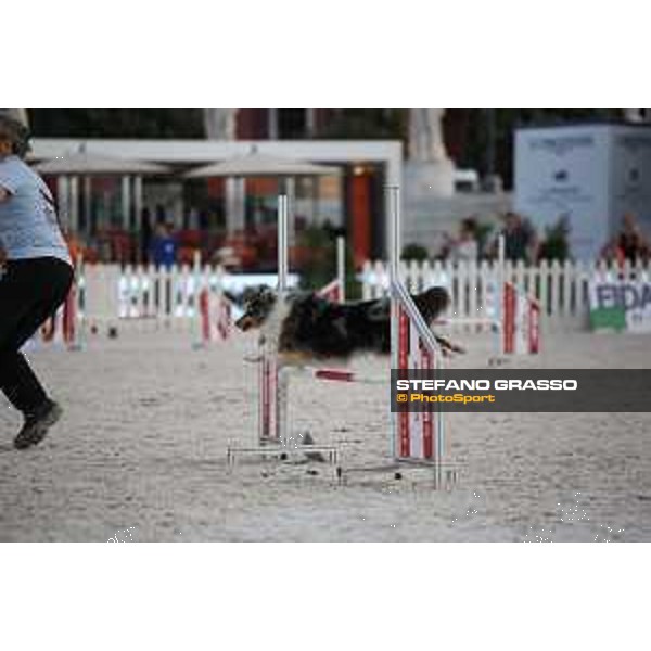 LGCT of Rome - Agility Dog Show - Rome, Stadio dei Marmi - 8 September 2019 - ph.Stefano Grasso/LGCT