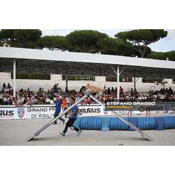 LGCT of Rome - Agility Dog Show - Rome, Stadio dei Marmi - 8 September 2019 - ph.Stefano Grasso/LGCT