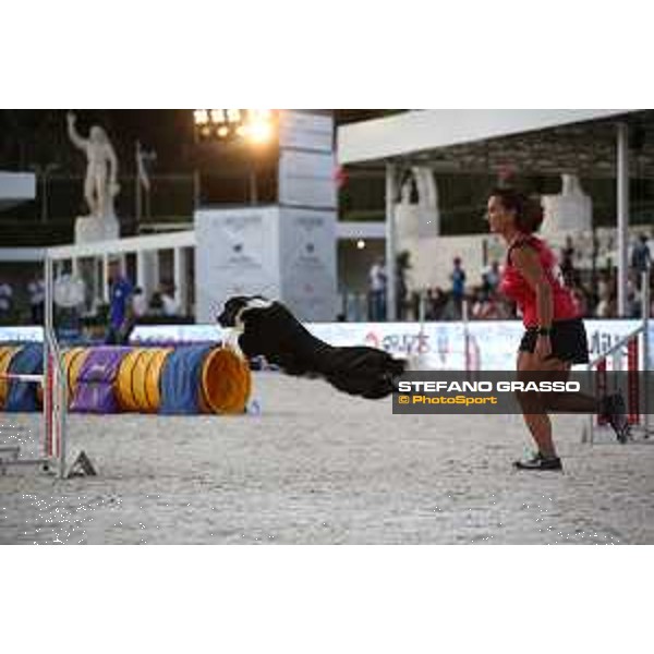 LGCT of Rome - Agility Dog Show - Rome, Stadio dei Marmi - 8 September 2019 - ph.Stefano Grasso/LGCT