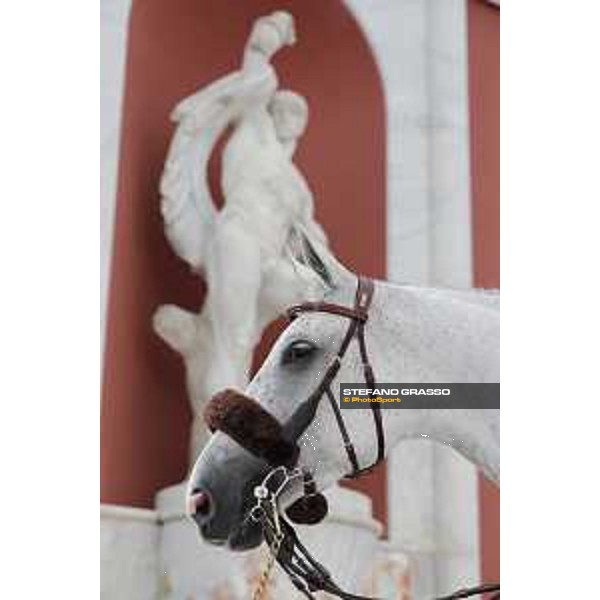 LGCT of Rome - Behind the scenes - - Rome, Stadio dei Marmi - 8 September 2019 - ph.Stefano Grasso/LGCT