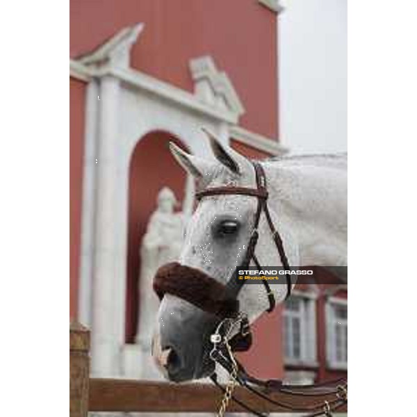 LGCT of Rome - Behind the scenes - - Rome, Stadio dei Marmi - 8 September 2019 - ph.Stefano Grasso/LGCT