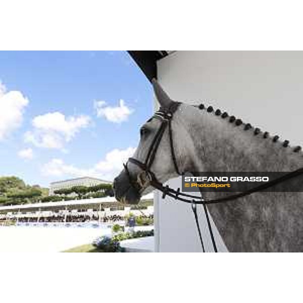 LGCT of Rome - Behind the scenes - - Rome, Stadio dei Marmi - 8 September 2019 - ph.Stefano Grasso/LGCT