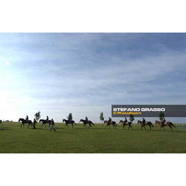 Luca Cumani\'s team after gallopps at The Rowley Mile Newmarket 7th july 2004 ph. Stefano Grasso