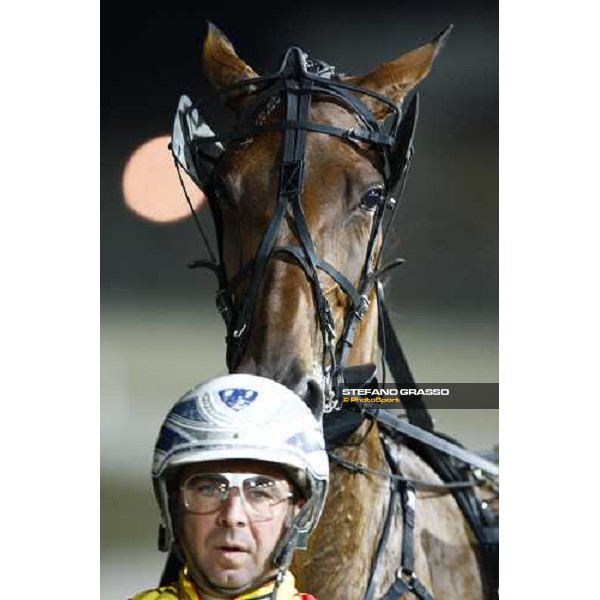 a close up for Lisa America winner of the Gran Premio Cittˆ di Follonica Follonica, Ippodromo dei Pini, 12th july 2009 ph. Stefano Grasso