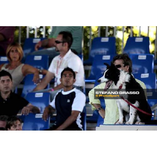 a special fan of the horses pictured at San Patrignano San Patrignano, 19th july 2009 ph. Stefano Grasso