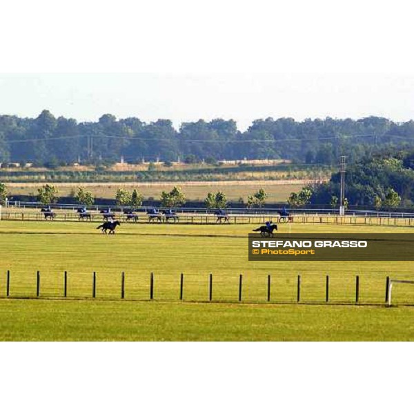 gallopps at The Rowley Mile Newmarket 8th july 2004 ph. Stefano Grasso