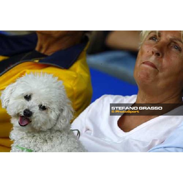 watching the competition at San Patrignano San Patrignano, 19th july 2009 ph. Stefano Grasso