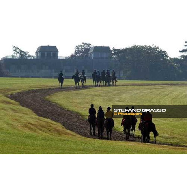 horses in training at Newmarket Newmarket 8th july 2004 ph. Stefano Grasso