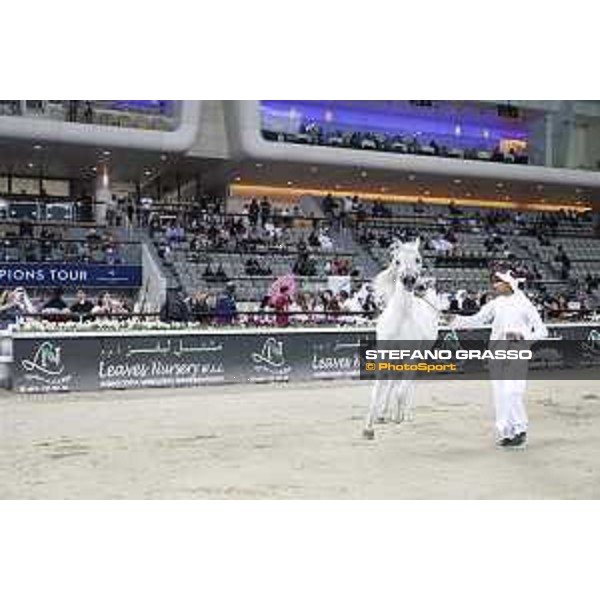LGCT of Doha - Al Shaqab - Arabian Show - Doha, Lomgines Arena Al Shaqab - 7 March 2020 - ph.Stefano Grasso/LGCT