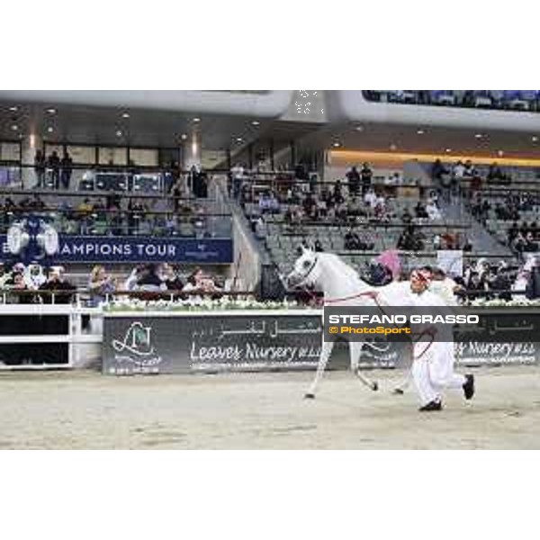 LGCT of Doha - Al Shaqab - Arabian Show - Doha, Lomgines Arena Al Shaqab - 7 March 2020 - ph.Stefano Grasso/LGCT