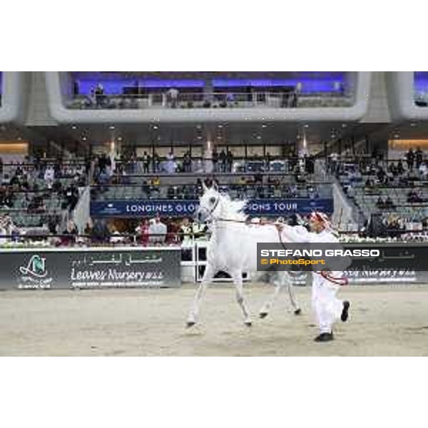 LGCT of Doha - Al Shaqab - Arabian Show - Doha, Lomgines Arena Al Shaqab - 7 March 2020 - ph.Stefano Grasso/LGCT