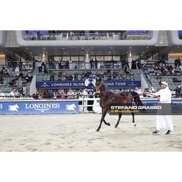 LGCT of Doha - Al Shaqab - Arabian Show - Doha, Lomgines Arena Al Shaqab - 7 March 2020 - ph.Stefano Grasso/LGCT