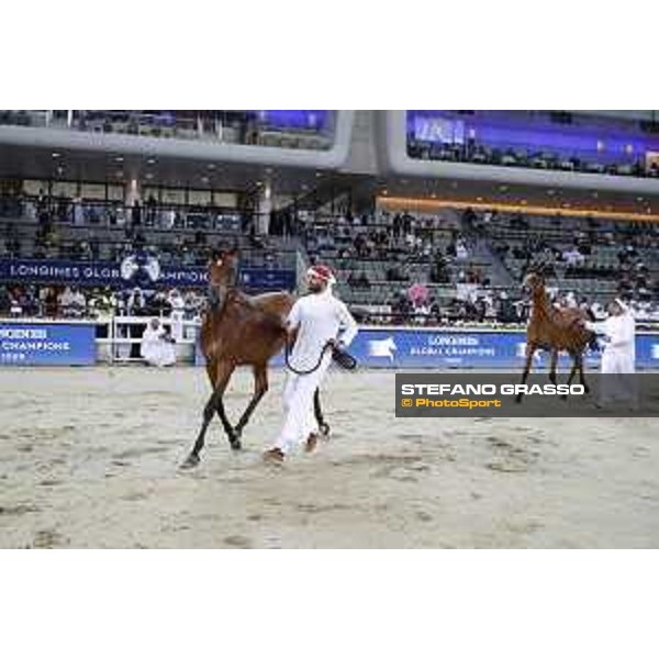 LGCT of Doha - Al Shaqab - Arabian Show - Doha, Lomgines Arena Al Shaqab - 7 March 2020 - ph.Stefano Grasso/LGCT