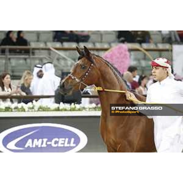LGCT of Doha - Al Shaqab - Arabian Show - Doha, Lomgines Arena Al Shaqab - 7 March 2020 - ph.Stefano Grasso/LGCT