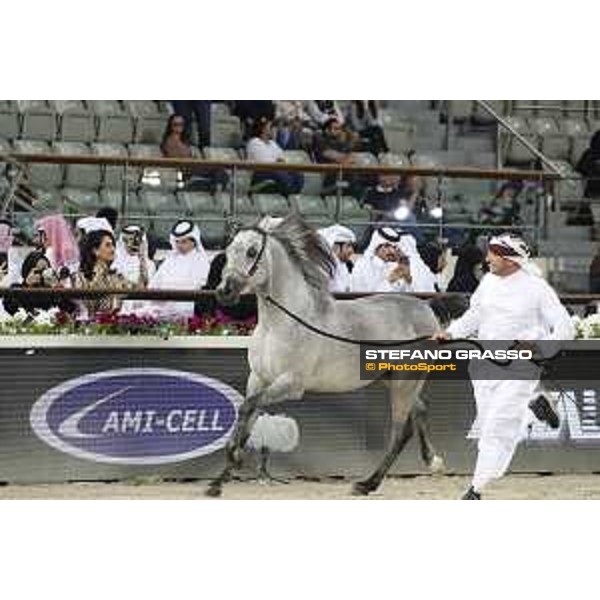 LGCT of Doha - Al Shaqab - Arabian Show - Doha, Lomgines Arena Al Shaqab - 7 March 2020 - ph.Stefano Grasso/LGCT