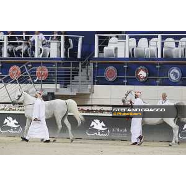 LGCT of Doha - Al Shaqab - Arabian Show - Doha, Lomgines Arena Al Shaqab - 7 March 2020 - ph.Stefano Grasso/LGCT