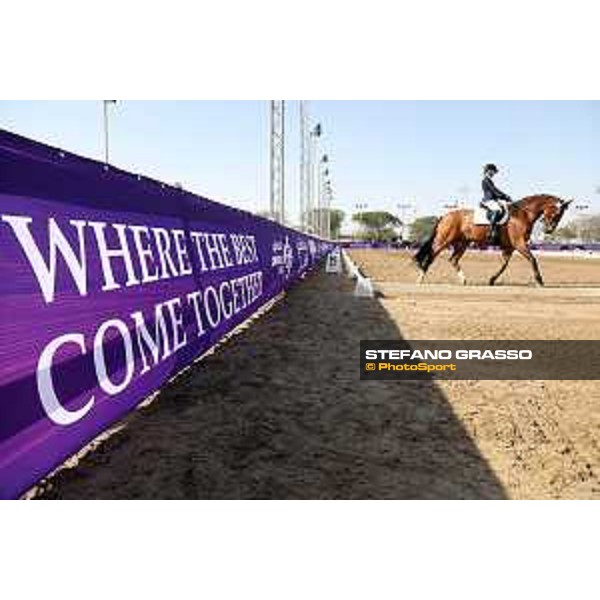 CHI of Al Shaqab - Behind the scenes - Doha, Al Shaqab - 27 February 2020 - ph.Frank Sorge/CHI Al Shaqab